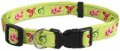 Leash + Collar
