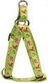 Harness + Leash (Style A)
