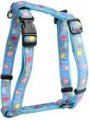 Harness + Leash (Style H)