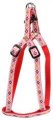 Harness + Leash (Style A)