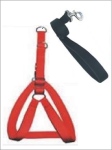 Leash + Collar