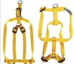 Harness + Leash (Style A)
