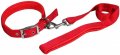 Leash + Collar