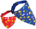 Fancy Collar
