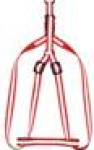 Harness + Leash (Style A)
