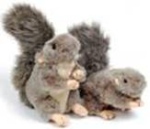 Dog Toys