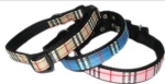 Leash + Collar