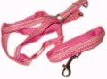 Harness + Leash (Style A)