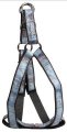Harness + Leash (Style A)