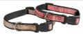 Leash + Collar