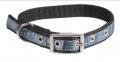 Leash + Collar