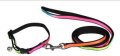 Leash + Collar