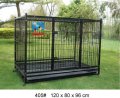 Cage