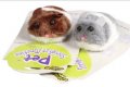Dog Toys