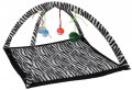 Cat Toys