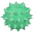 Dog Toys