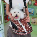 Pet Carrier Bag
