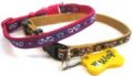 Leash + Collar