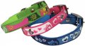 Leash + Collar