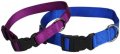 Leash + Collar