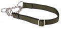 Choke Collar with Leash