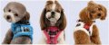 Vest Harness