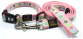Leash + Collar