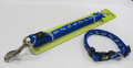 Leash + Collar
