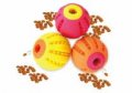 Dog Toys
