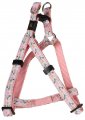 Harness + Leash (Style A)
