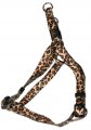 Harness + Leash (Style A)