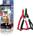 Leash + Collar