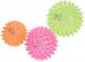 Dog Toys