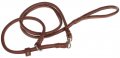 Choke Collar with Leash
