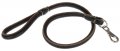 Leash