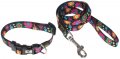Leash + Collar