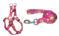Leash + Collar