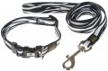 Leash + Collar
