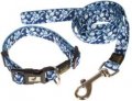 Leash + Collar