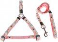Harness + Leash (Style A)