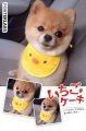 Fancy Collar