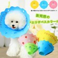 Elizabethan Collar