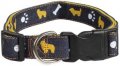 Leash + Collar