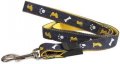 Leash + Collar