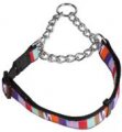 Choke Collar with Leash