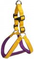 Harness + Leash (Style A)