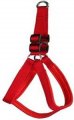 Harness + Leash (Style A)