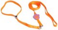 Leash + Collar