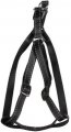 Harness + Leash (Style A)