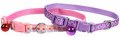 Leash + Collar